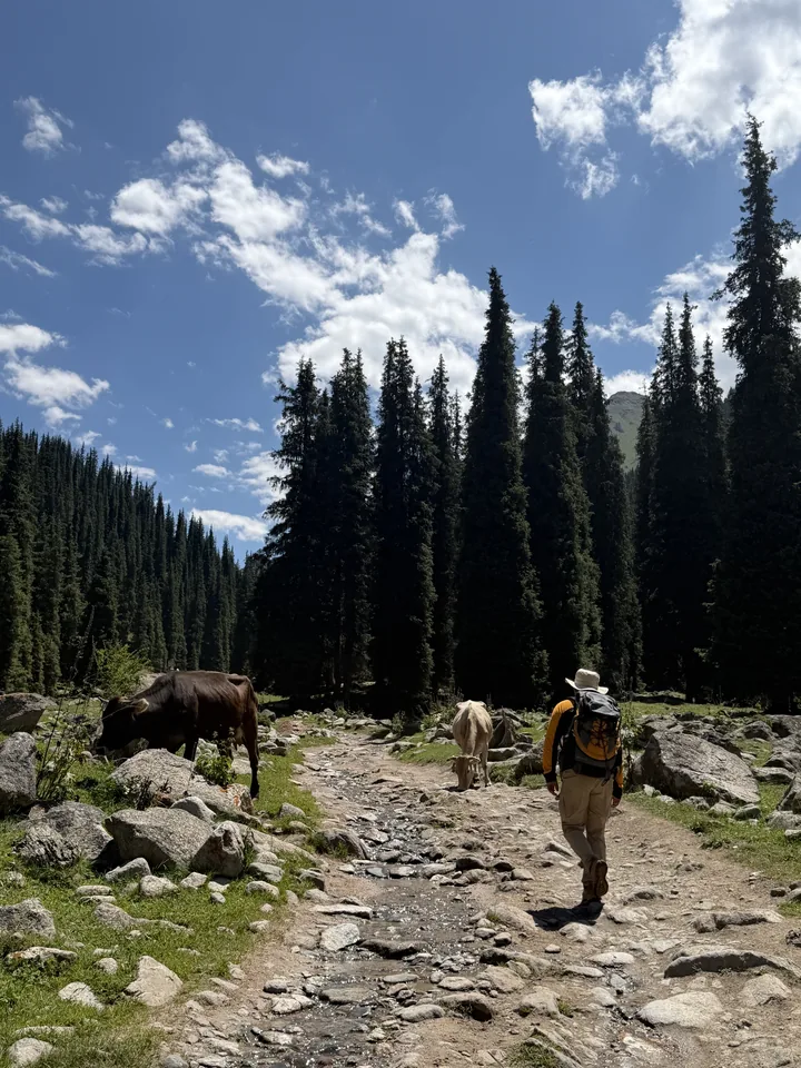 Kyrgyzstan travel photo 55
