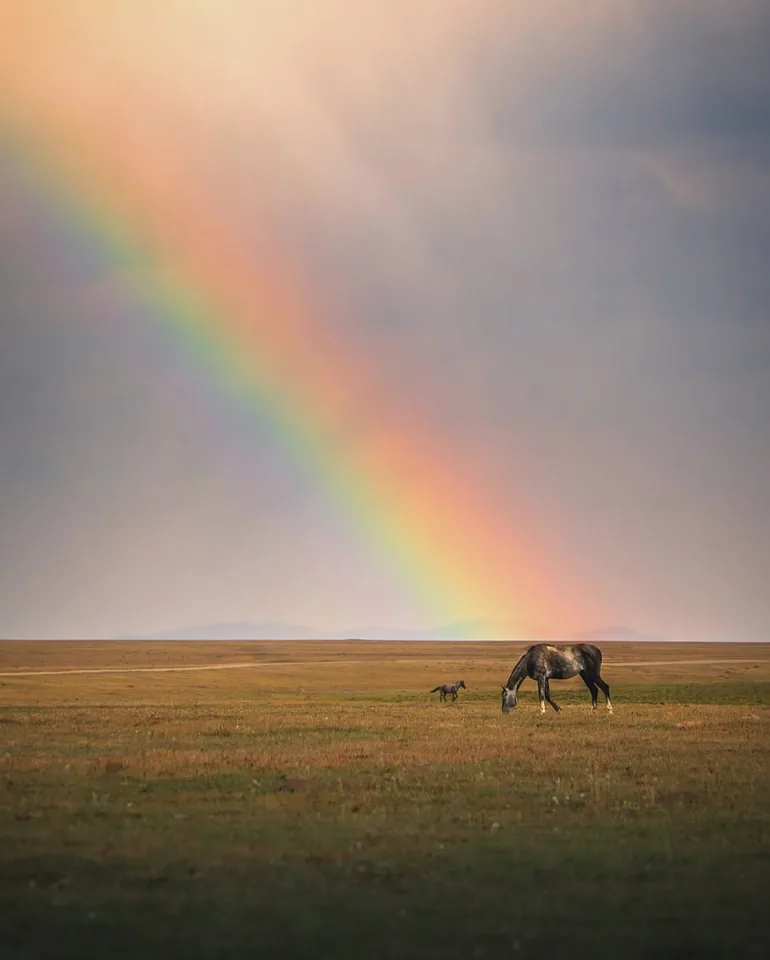 Kyrgyzstan travel photo 77