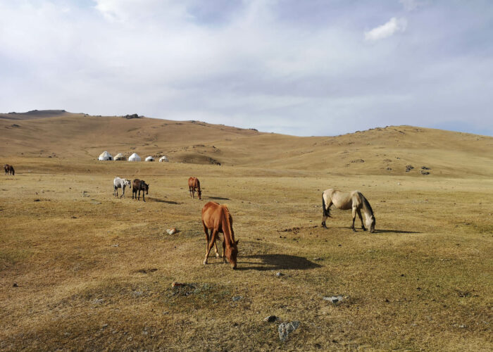 kyrgyzstan tour from malaysia